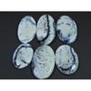 6Pcs Natural Dendrite Opal Oval Shape Cabochon Loose Gemstone Lot 588cts. C-588