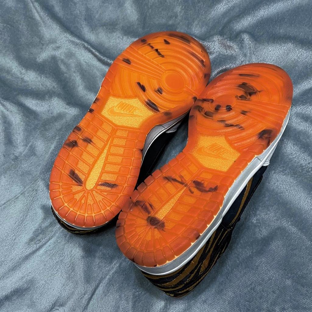 Nike Dunk Low Бог Богатства  DQ5352-001