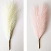3 шт./пакет, привлекающая внимание искусственная пампасная трава, тонкая работа, искусственный шелк, цветок, не выцветает