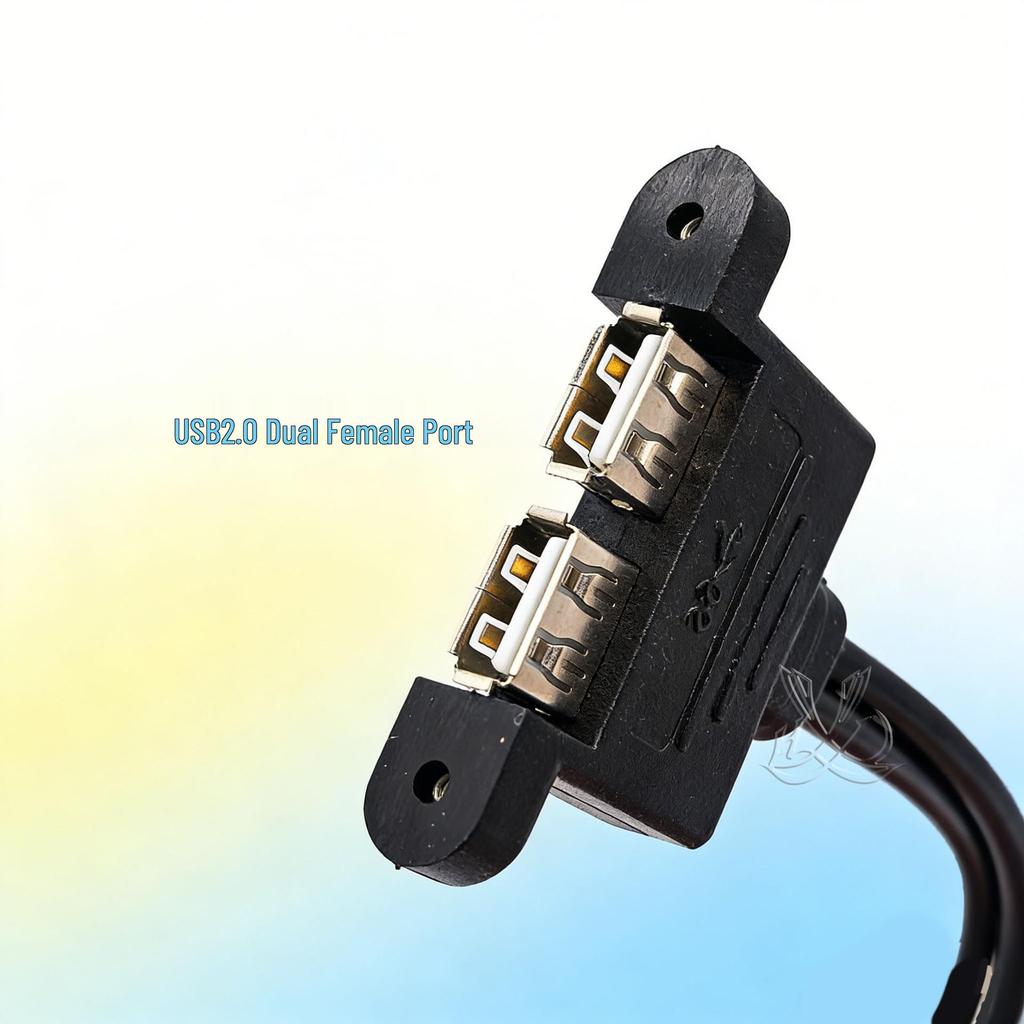 USB 9-Pin to Dual USB 2.0 Female Port Expansion Cable