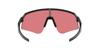 Casual Sunglasses OO9465 Matte Trail Torch Lens Free Size [Oakley] Carbon/Prism