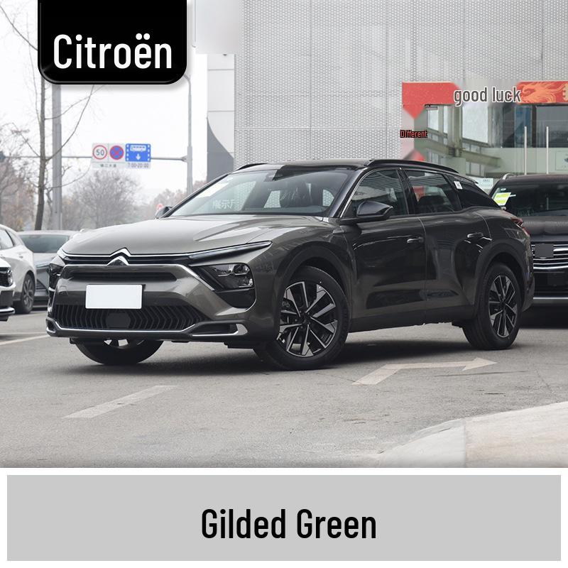 Подкрашивающий маркер для Dongfeng Citroën: Елисейский дворец, C4L, Сега, Версаль, Пикассо, Юньи, Фукан.