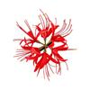 1Pc Red Flower Hair Clip Side Clips for Women Girls Exquisite Tassel Petal Duckbill Clip Hairpins Bridle Jewelry Accessories