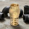 Anti Backflow Bottom Valve Female Thread Check Valve Brass Brass Foot Valve  Direct Supply