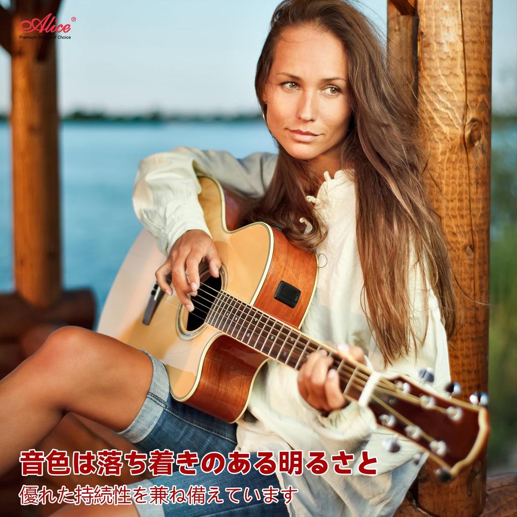 Alice Струны для акустической гитары Премиум Исполнение Легкие струны, Бронза 80/20, Струны, .012-.053, AWR480-L
