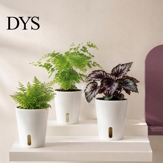 Настольные горшки для растений для офисного декора, Самополивающиеся комнатные растения, Маленькие кашпо с индикатором уровня воды, Прозрачная внутренняя чашка для оконного подоконника,