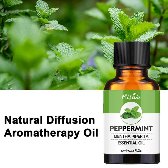 10 мл эфирного масла Растительный экстракт Натуральные ингредиенты Освежающий Успокаивающий Апельсин Мята Эвкалипт Кипарис