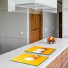 2x GLASS PROTECTIVE PLATE FOR STOVE 40x52 EGGS