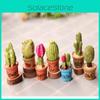 Delightful Mini Cactus Resin Ornament For Charming Fairy Garden Decor Craft