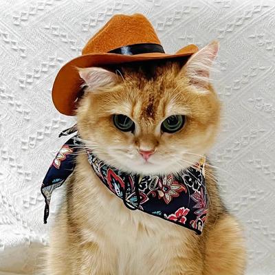 Шляпа для кошки Ковбойская шляпа для питомца Фото собаки Милый забавный головной убор Для маленьких и средних собак Защита от солнца Солнцезащитная шляпа