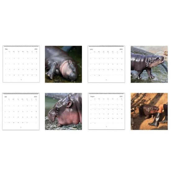 2025 Бегемот настенный календарь ежемесячный карликовый бегемот изображения календарь подвесной бегемот подарок