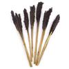 Dried Cantal Grass Bunch Black 6 Pieces