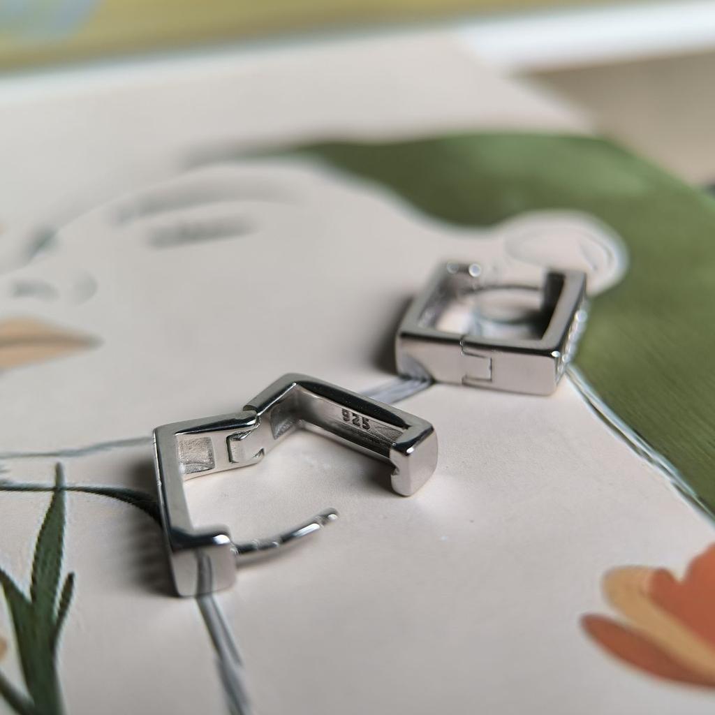 Silver Earrings with Cubic Zirkonia (2184201)