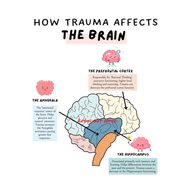 The Human Nervous System Human Brain Anatomy Brain Function Poster Print Wall Art Canvas Painting for Therapy Office Decor