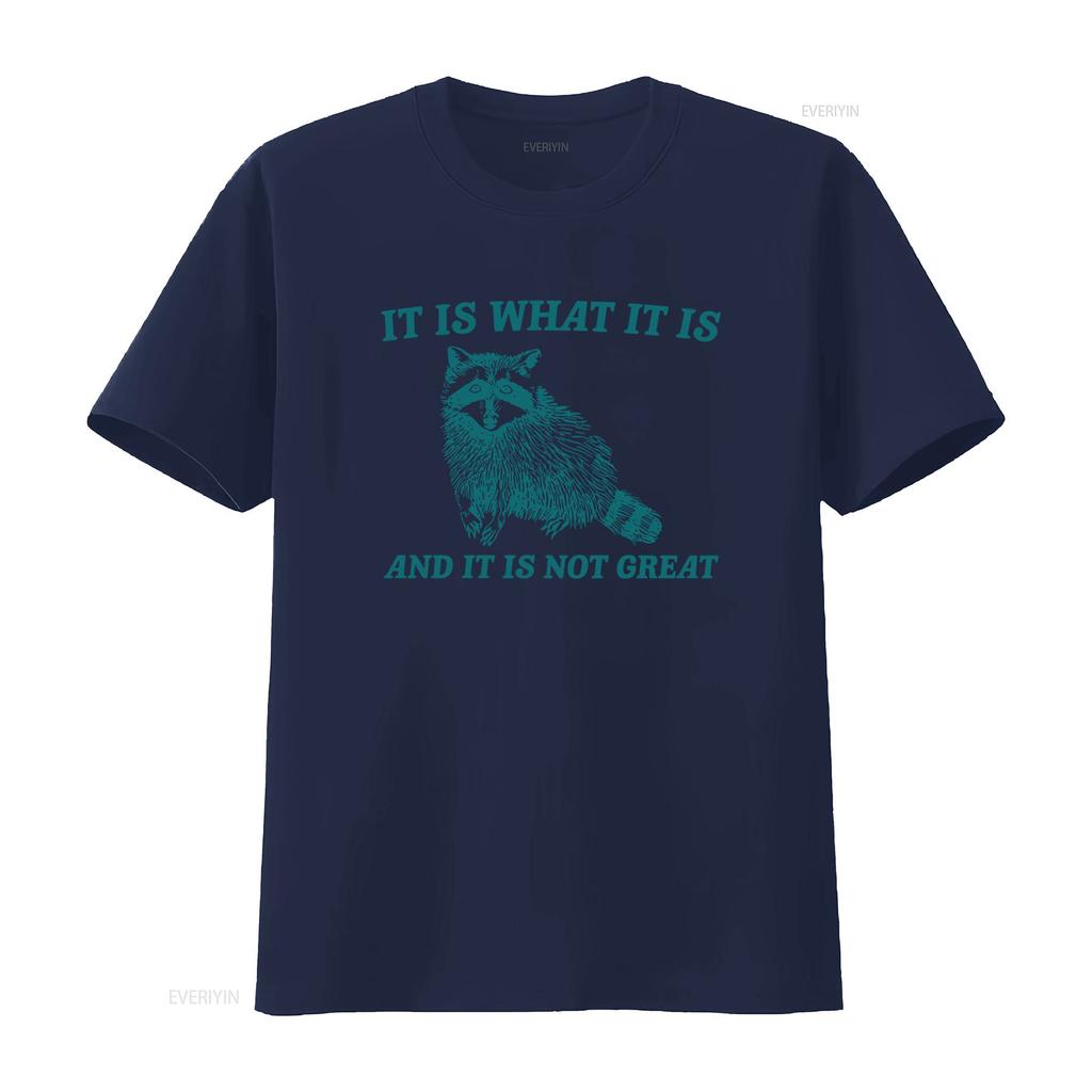 It Is What And Not Great Vintage Drawing T Shirt Raccoon Meme Funny Trash Panda Vintage Fashion Stretched Stylish