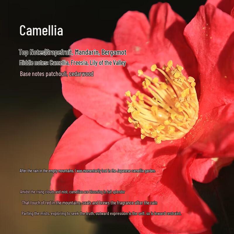 Tesori d'Oriente Water Lily Scented Body Lotion