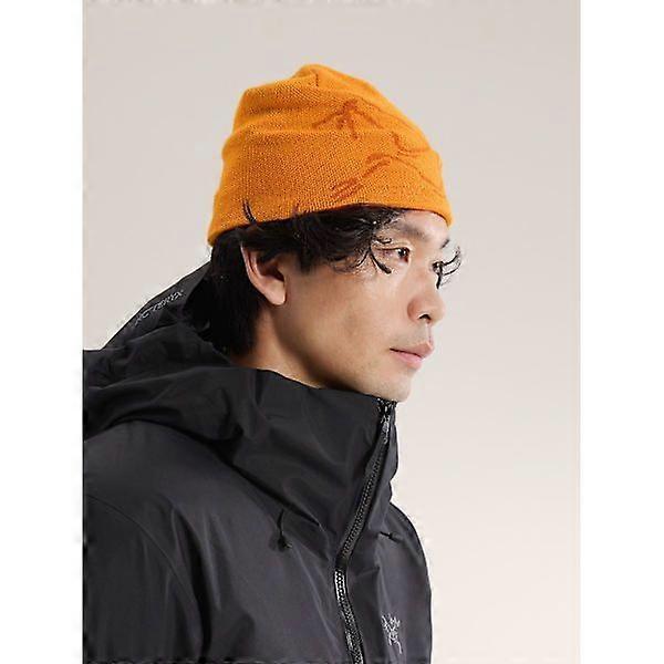 Шапка-бини Arc'teryx Bird Head Синяя Шерсть Мериноса Вязаная Зимняя Шапка Унисекс Синяя