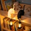 Настенные крючки для спальни, 3D-печатная полка-сиделка в виде кошки с фонариком, причудливая статуэтка-крючок для ключей, декоративная статуэтка на край книги, креативное настольное украшение,