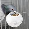 Подвесная кормушка-поилка для птиц Клетка для голубей, попугаев Подвесная миска для корма Зажимная, монтируемая на клетку Миска/чашка для корма/поилка для голубей
