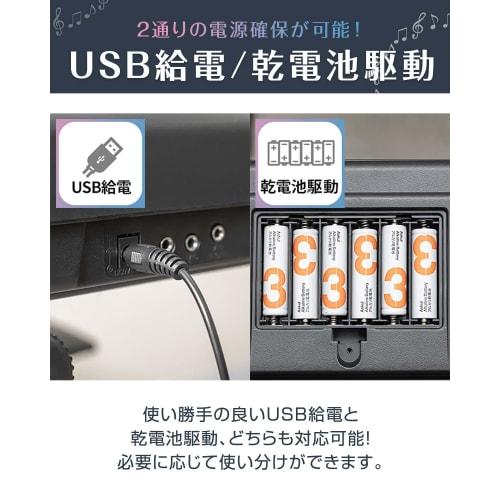 RiZKiZ Электронная клавиатура, Цифровое пианино, 61 клавиша, Синтезатор, Питание от USB, Питание от батареек, Портативная, Компактная, Удобная для начинающих, Режим практики, L