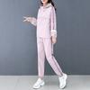 Spring and Autumn Sportswear Casual Sweater Suit Fashion Loose Two-piece Suit