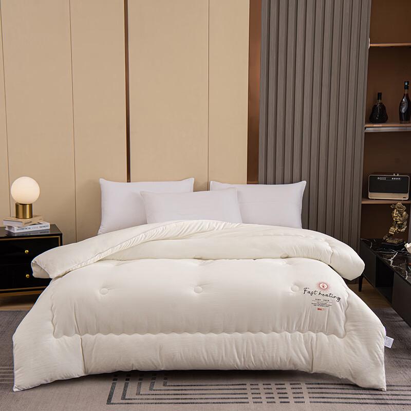 PAUI DAVID All-Season Antibacterial Duvet Insert