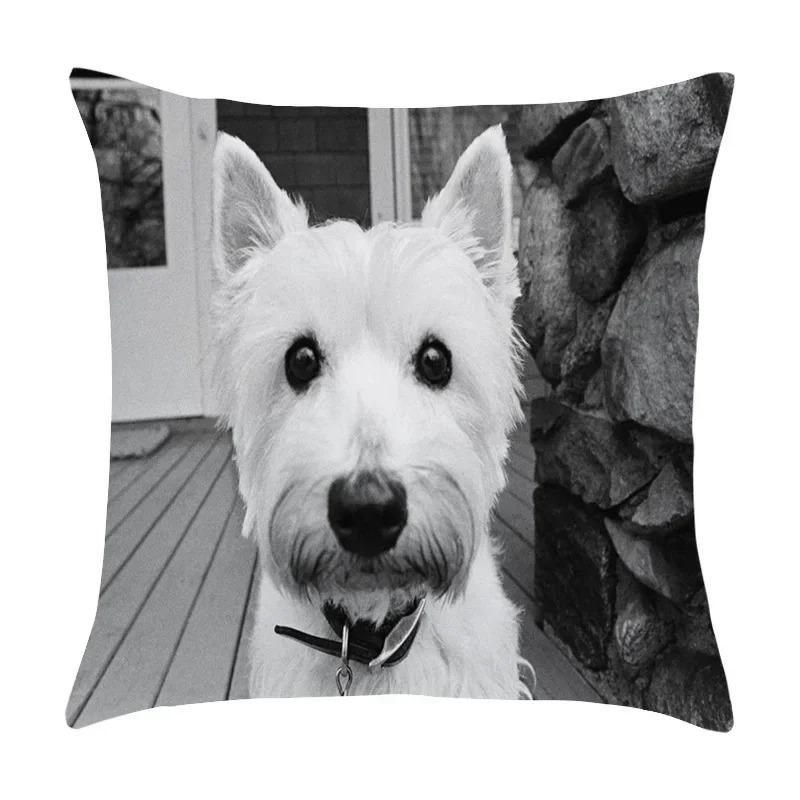 Милый питомец щенок черно-белое художественное фото офисная диванная подушка наволочка