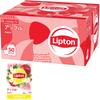 Lipton Яблочный Полипропиленовый Индивидуально Упакованный Чай 50 Пакетиков Ароматизированный Оптовый Большой Чай Домашний Гостевой Коммерческое Использование [Официальный] Пакетики, Чай, Покупка,