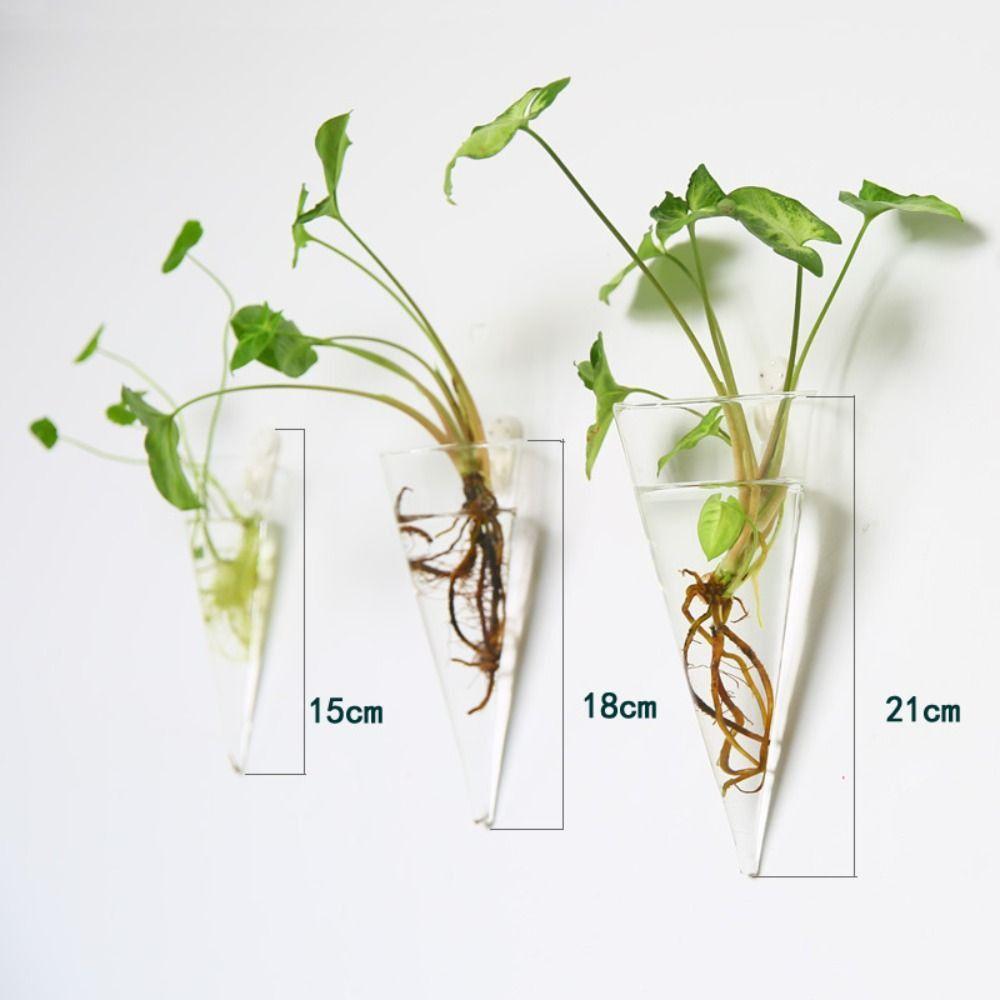 Transparent Wall Hanging Vase Hydroponics Plants Flowerpot Plant Propagation Vase  Wall Decor
