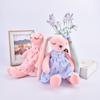 Beautiful Cartoon Rabbit Plush Toy Creative Cute Long-Eared Bunny Doll