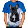 Animal French Bulldog 3D Print T Shirts Summer Men's O-Neck Short Sleeve T-shirt Oversized Streetwear Boys Kids Cute Tees Tops