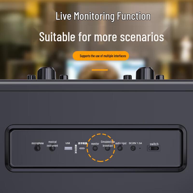 Philips SD100 Portable Outdoor Bluetooth Speaker with Dual Microphones