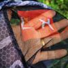 WEZHO Ultra-Light Integrated Fishing Net Head