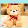 Cute Graduation Bear Plush Toy In Various Colors Ideal For Commencement Celebrations
