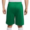 Nike Dri Fit Casual Shorts Men's Pine Green IB8654-302