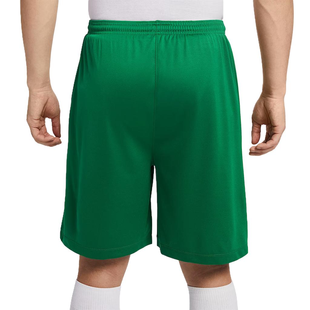 Nike Dri Fit Casual Shorts Men's Pine Green IB8654-302