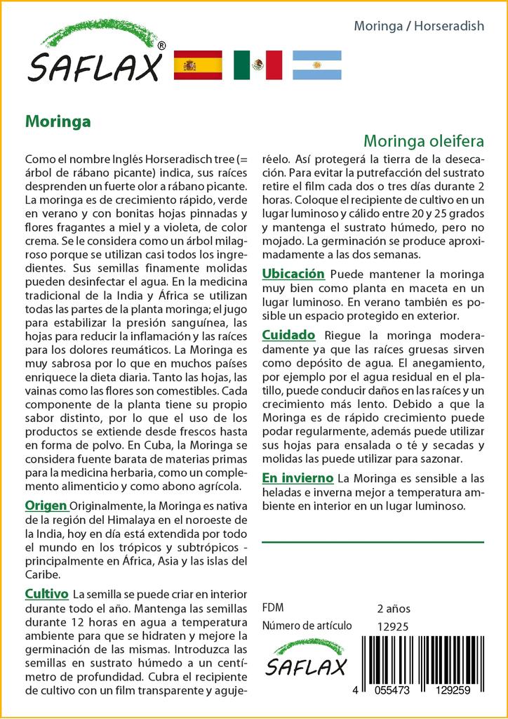 SAFLAX Хрен - 10 семян - Moringa oleifera