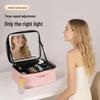 LED Makeup Bag with Mirror: Portable Professional Storage for Makeup Artists