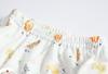 Training Panties Trainer Panties For Diapering Giraffe Underwear