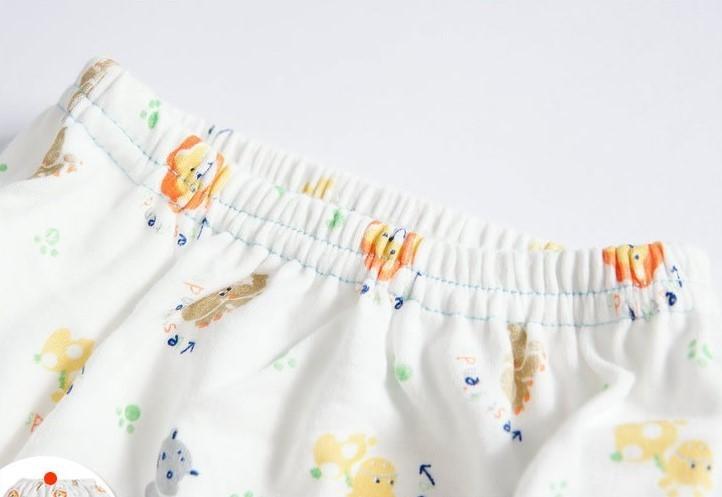 Training Panties Trainer Panties For Diapering Giraffe Underwear