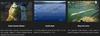 Jackall Воблер Squad Minnow 95SP Suspend UL Tamamushi (6001)