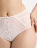 Kandy High Waist Briefs
