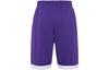 Nike Casual Shorts Men's Purple Moderate CQ4365-546