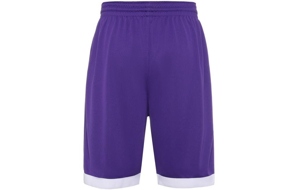 Nike Casual Shorts Men's Purple Moderate CQ4365-546