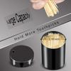 Metal Toothpick Dispenser Stainless Steel Tooth Picks Container  for Teeth Appetizer