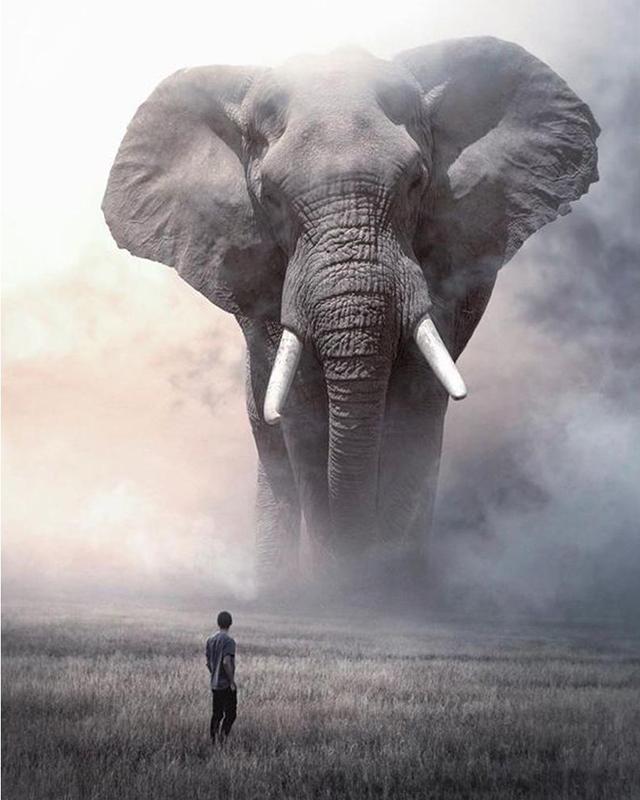 5D Алмазная вышивка Слон Полный квадратный круглый вышивка крестиком Алмазная картина Животное Мозаика Рукоделие Украшение дома