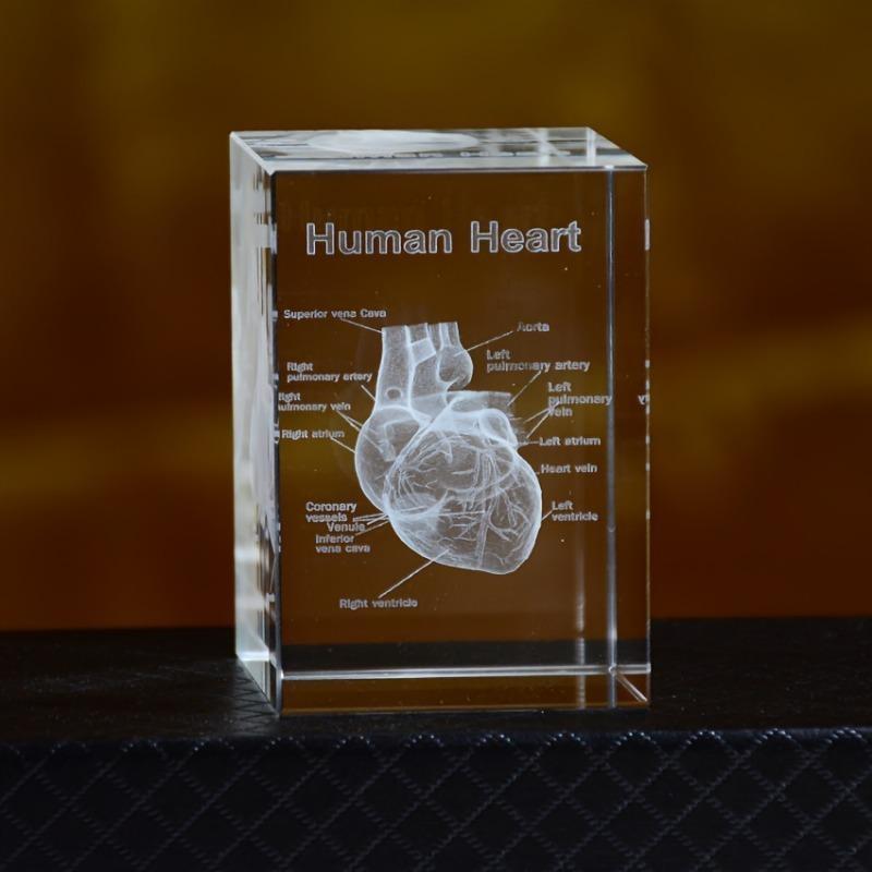 Crystal Heart Model Cube 3D Laser Engraved Anatomical Figurines Medical Science Souvenir Gifts Home Decoration Paperweight