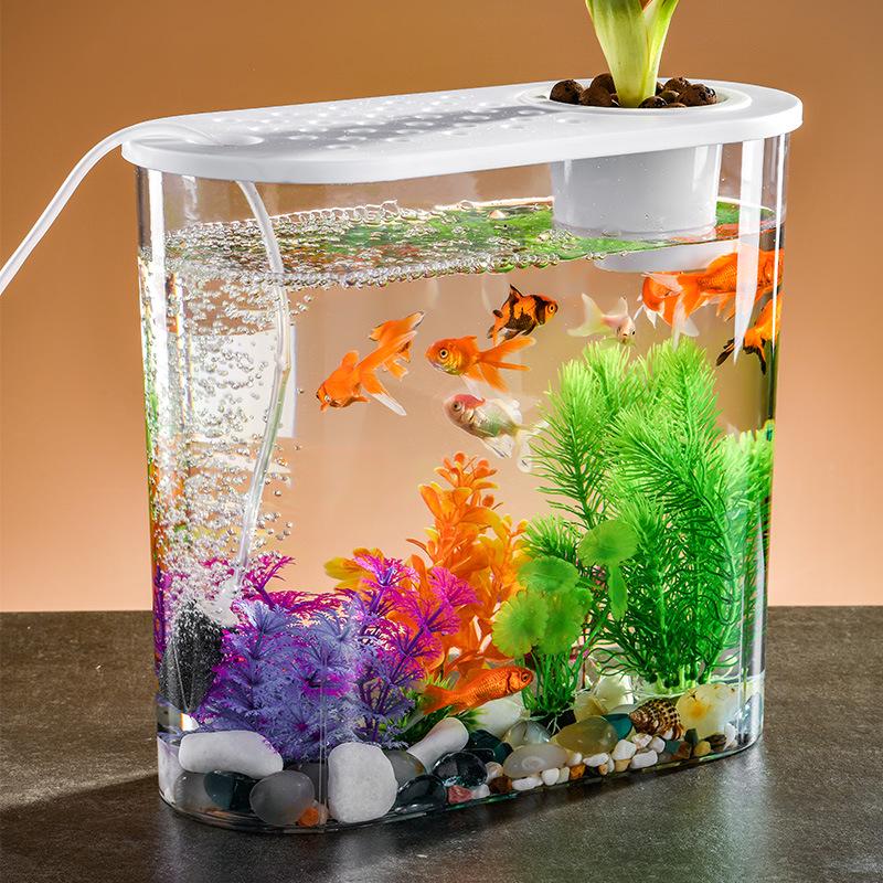 Clear Plastic Fish Tank for Desktop Landscaping - Turtle, Goldfish, Micro Ecosystem Aquarium