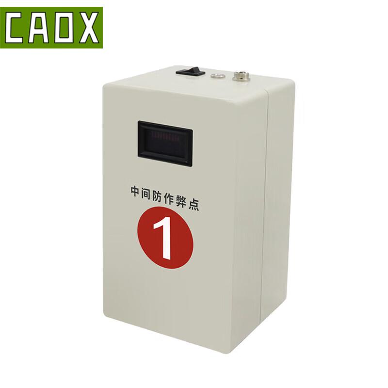 CAOX 3000m Running Assessment System