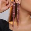 Premium Earrings Shiny Diamond Long Fringed Earrings